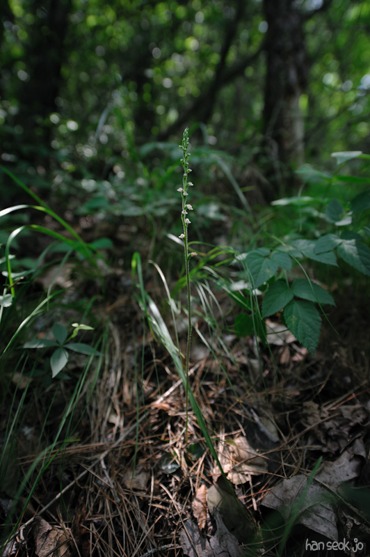 HSJ_4254.jpg