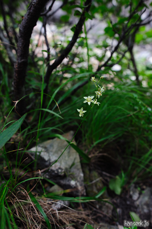 HSJ_0814.jpg