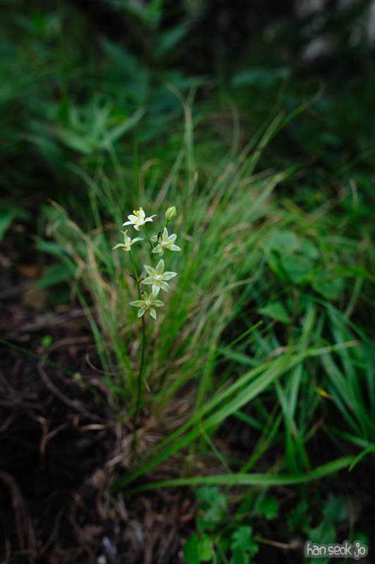 HSJ_0811.jpg