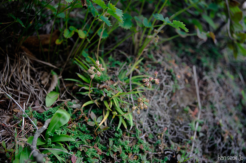 HSJ_3949.jpg