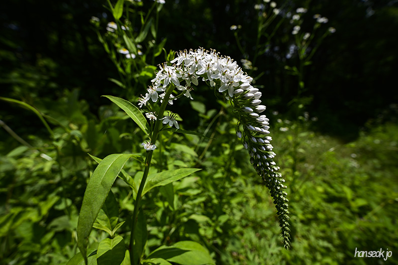 DSC_2858.jpg