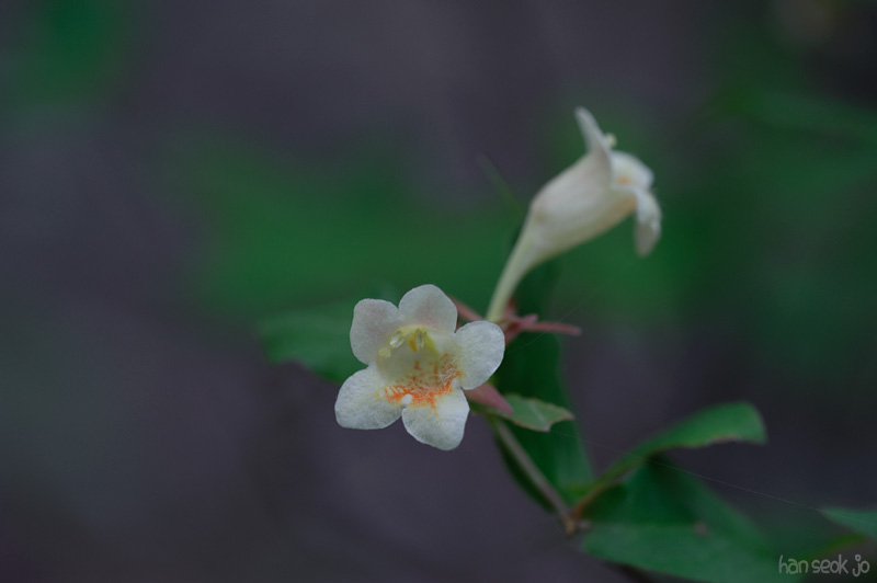 HSJ_8214.jpg