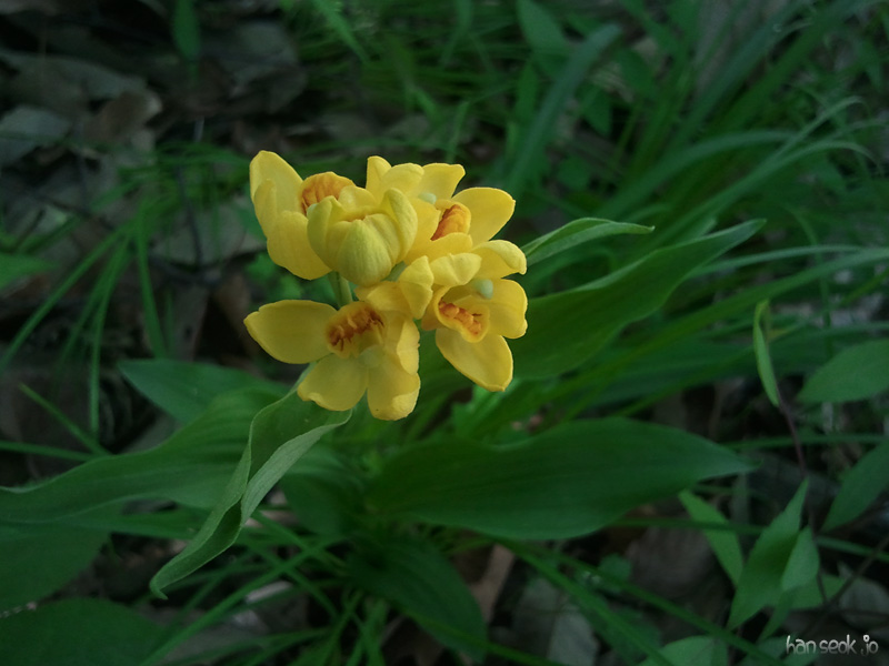 2011-05-15.jpg