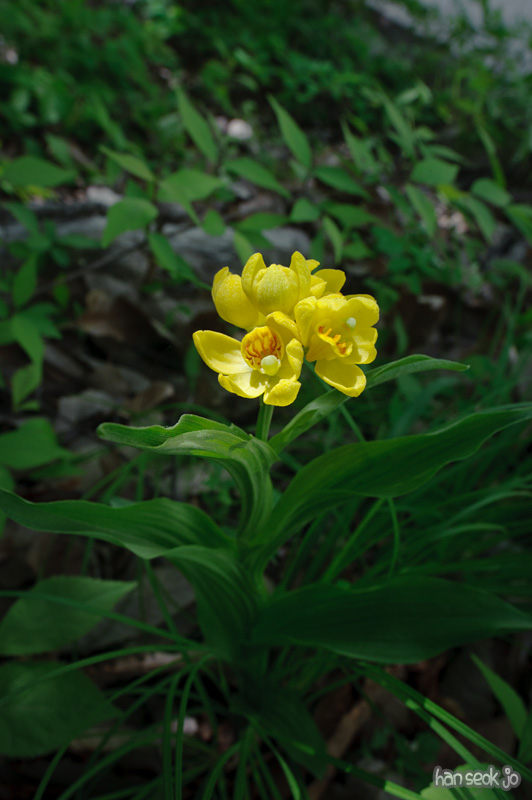 HSJ_8280.jpg
