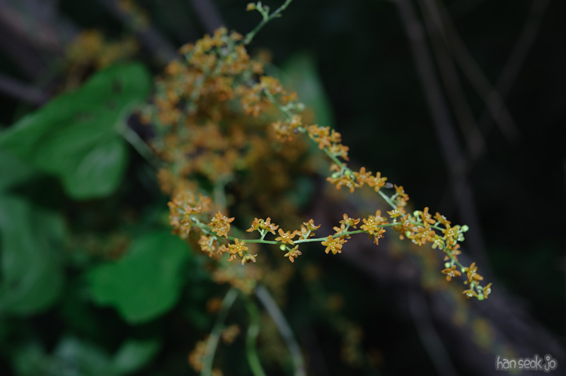 HSJ_0708.jpg