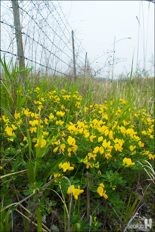 DSCF8519.jpg