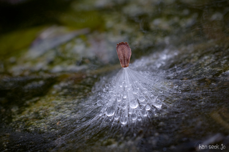 DSC_8280.jpg