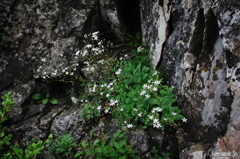 HSJ_0854.jpg