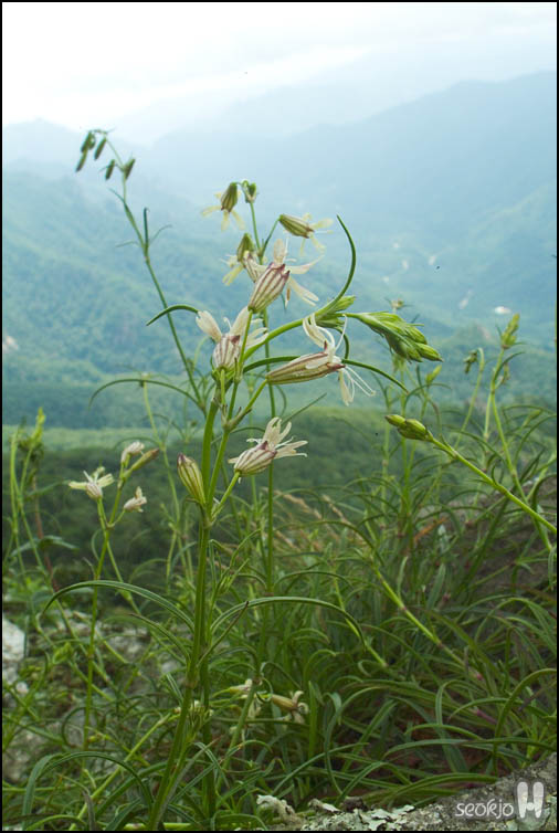 DSCF8119.jpg