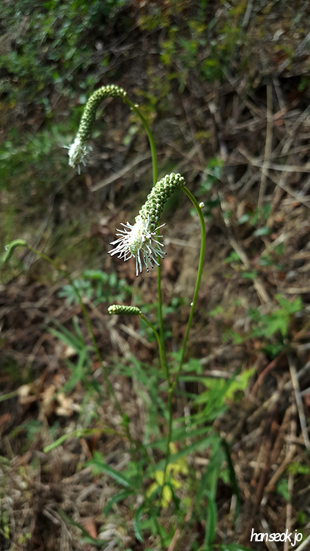 20191006_123615.jpg