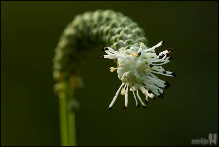 DSCF3414.jpg