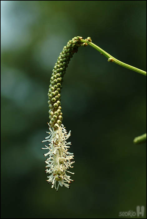 DSCF3424.jpg