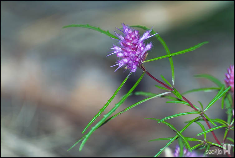 DSCF0326.jpg