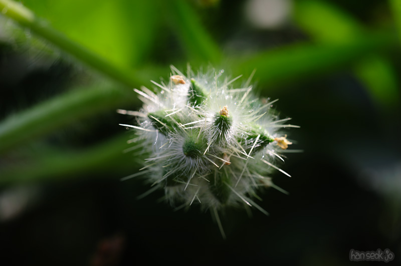 HSJ_1247.jpg