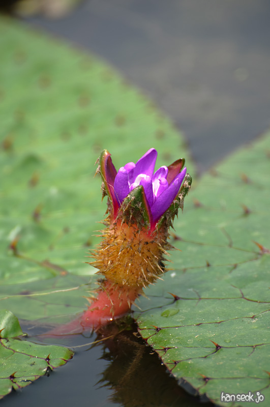 DSC_7637.jpg