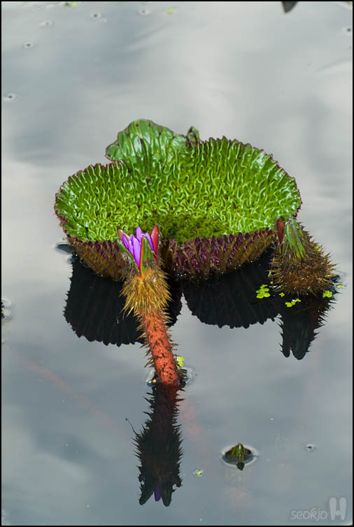 DSCF3143.jpg