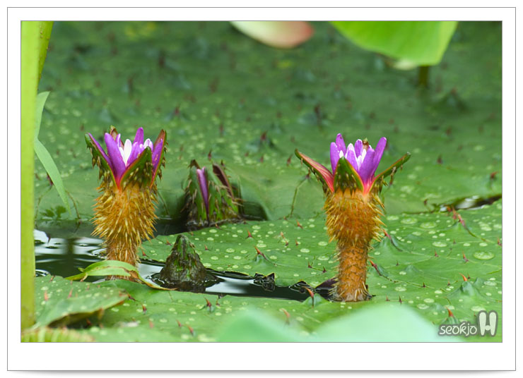 DSCF1523.jpg