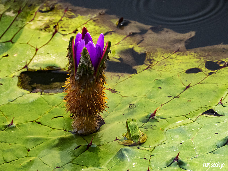 DSCN1093.jpg