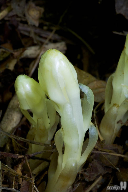 DSCF4107.jpg