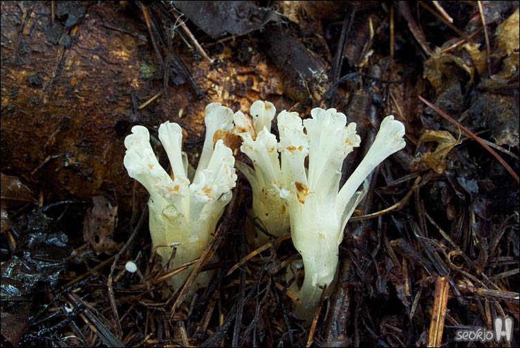 DSCF9670.jpg
