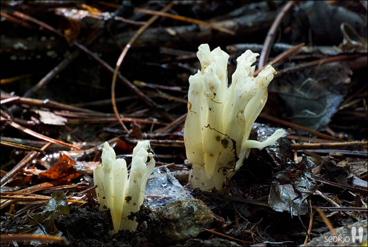 DSCF9678.jpg