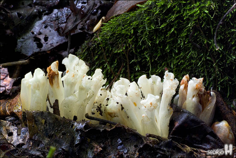 DSCF9695.jpg