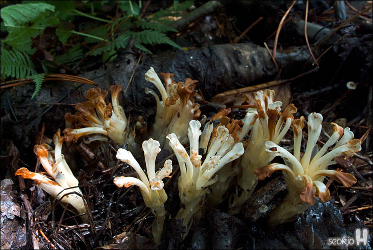 DSCF9673.jpg