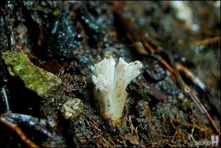 DSCF2253.jpg