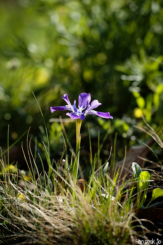 HSJ_5643.jpg