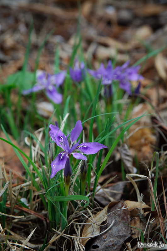 DSC_5760.jpg