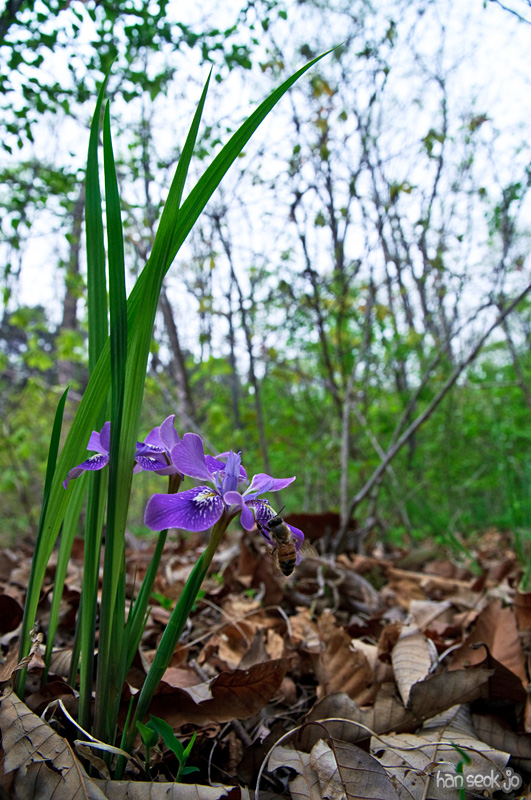 DSC_1255.jpg