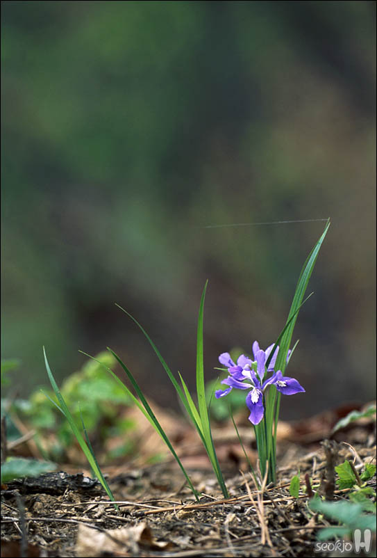 070507b.jpg