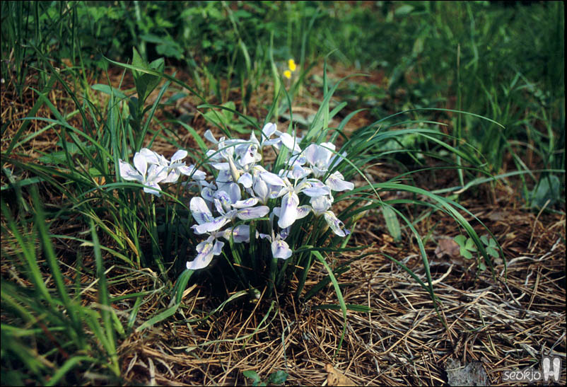 070512c.jpg
