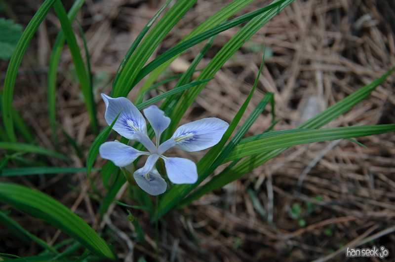DSC_6056.jpg