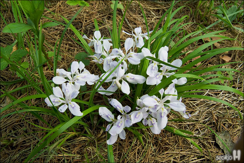 DSCF3636.jpg