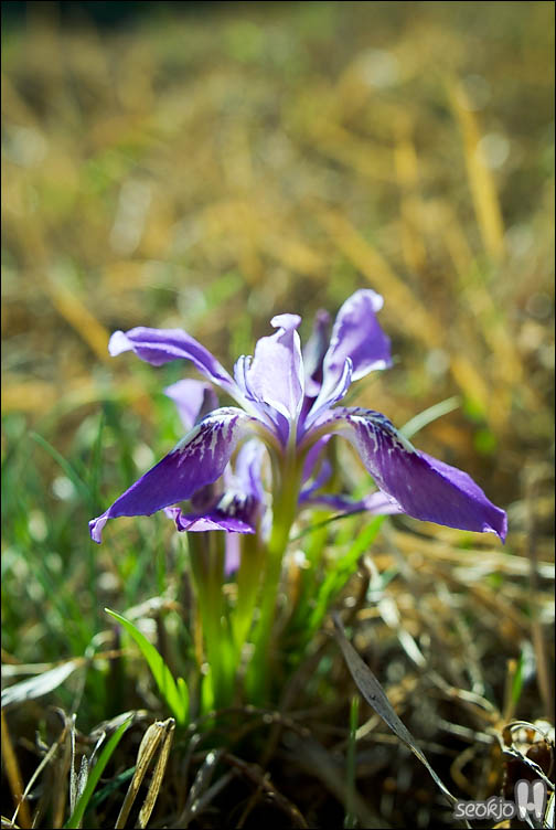 DSCF7358.jpg