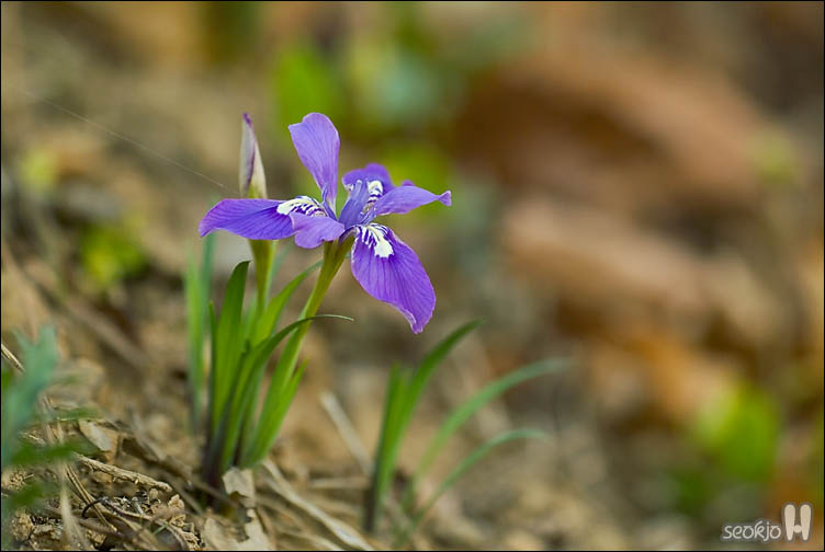 DSCF7389.jpg