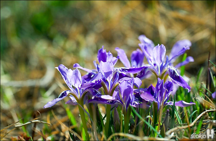 DSCF7351.jpg
