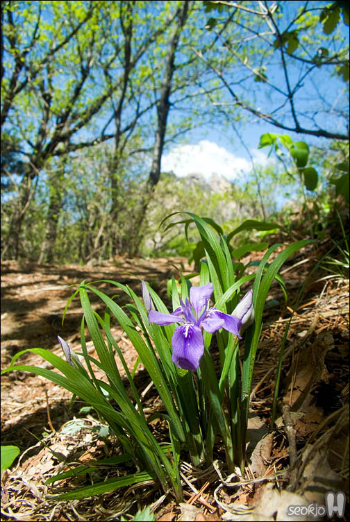 DSCF8058.jpg