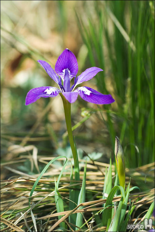DSCF0150.jpg