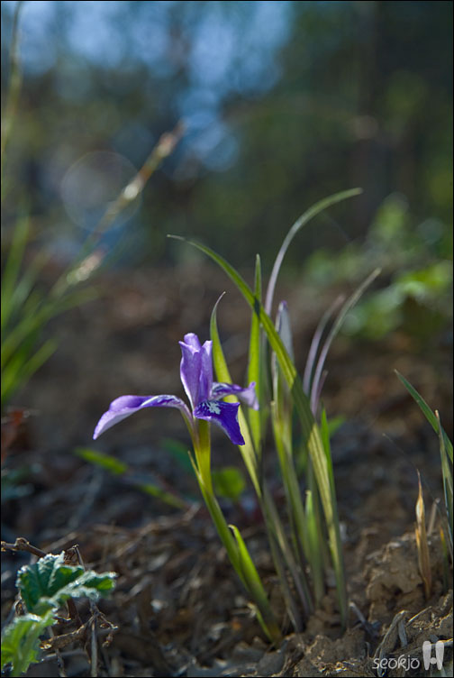 DSCF7651.jpg