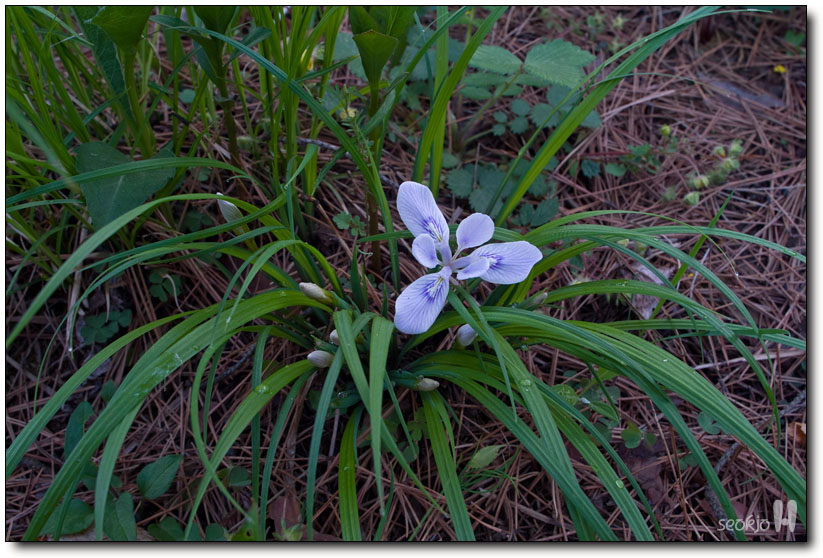 DSCF8067.jpg
