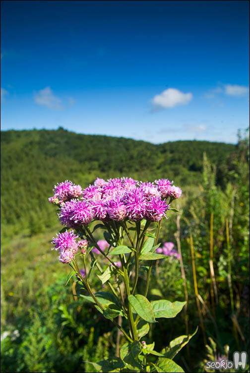 DSCF0572.jpg