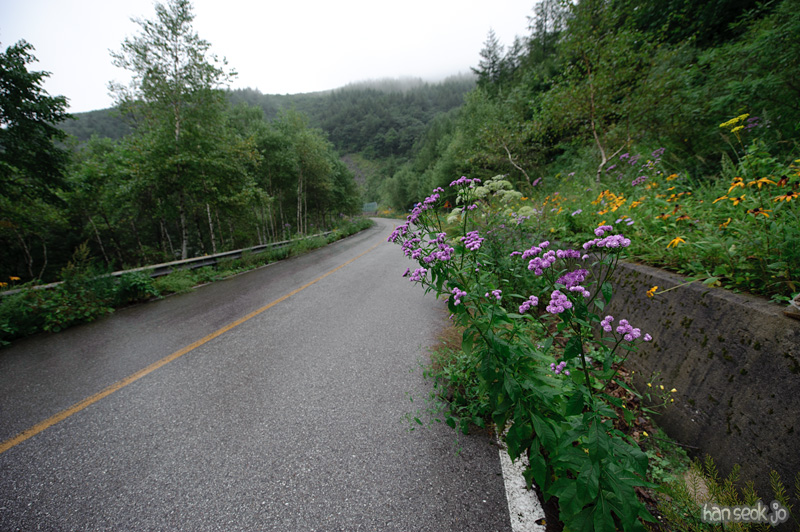 HSJ_0448.jpg