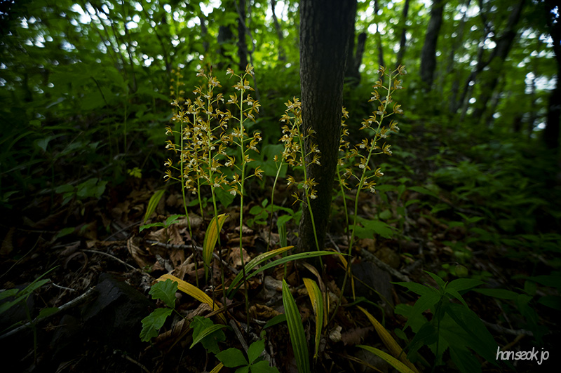 DSC_5306.jpg