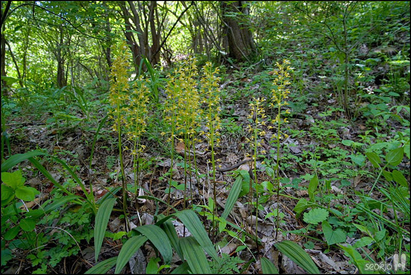 DSCF3856.jpg