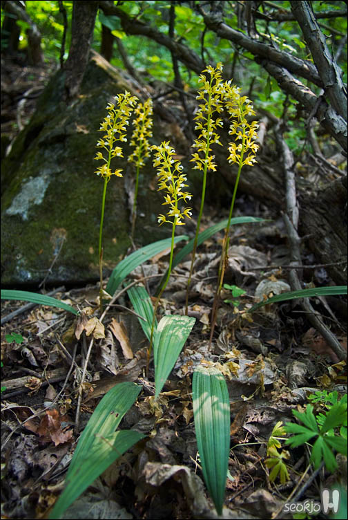 DSCF8615.jpg