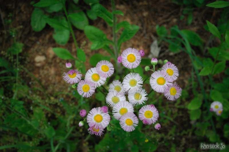 HSJ_2135.jpg
