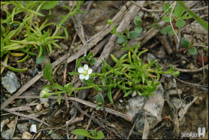 DSCF6782.jpg