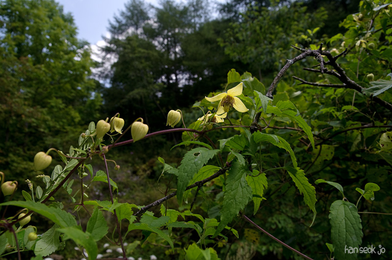 DSC_3794.jpg